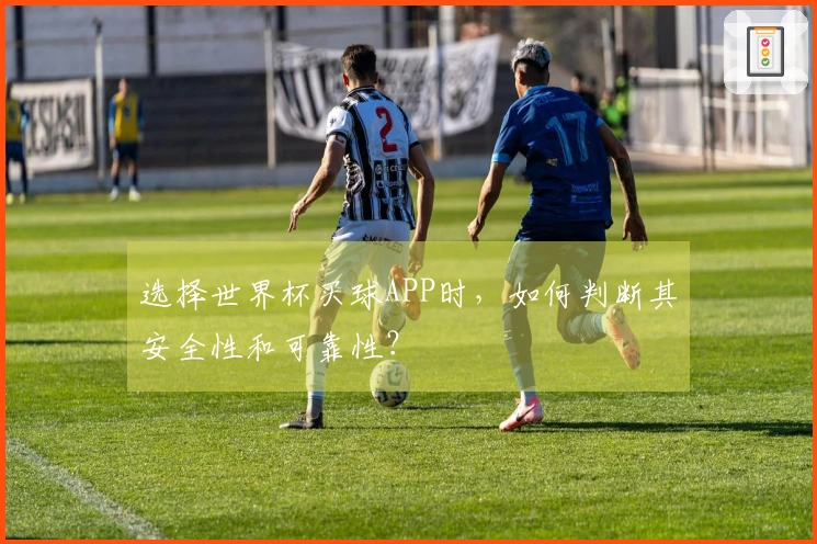 选择世界杯买球APP时，如何判断其安全性和可靠性？