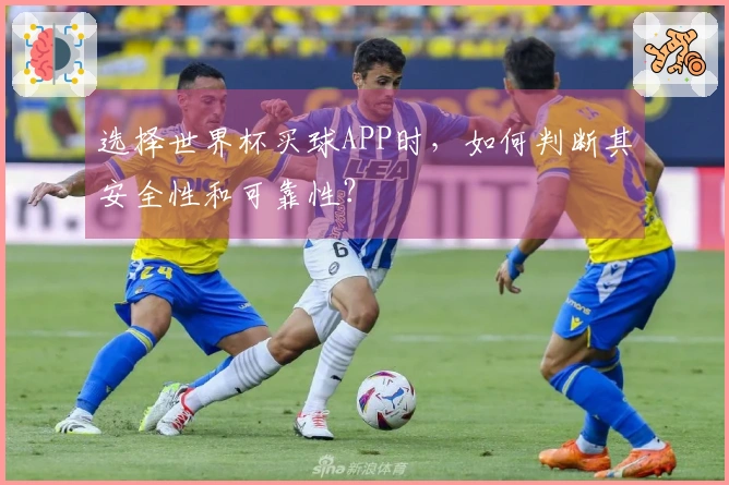 选择世界杯买球APP时，如何判断其安全性和可靠性？