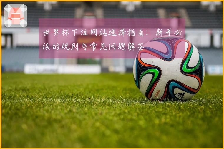 世界杯下注网站选择指南:新手必读的规则与常见问题解答