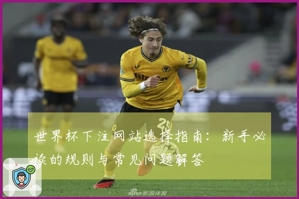 世界杯下注网站选择指南：新手必读的规则与常见问题解答