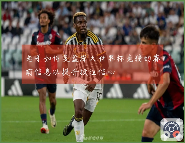 老手如何复盘烽火世界杯竞猜的赛前信息以提升投注信心