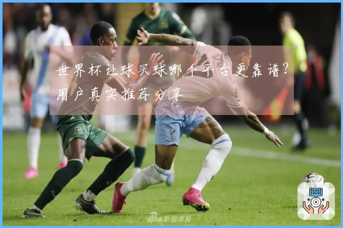 世界杯让球买球哪个平台更靠谱？用户真实推荐分享